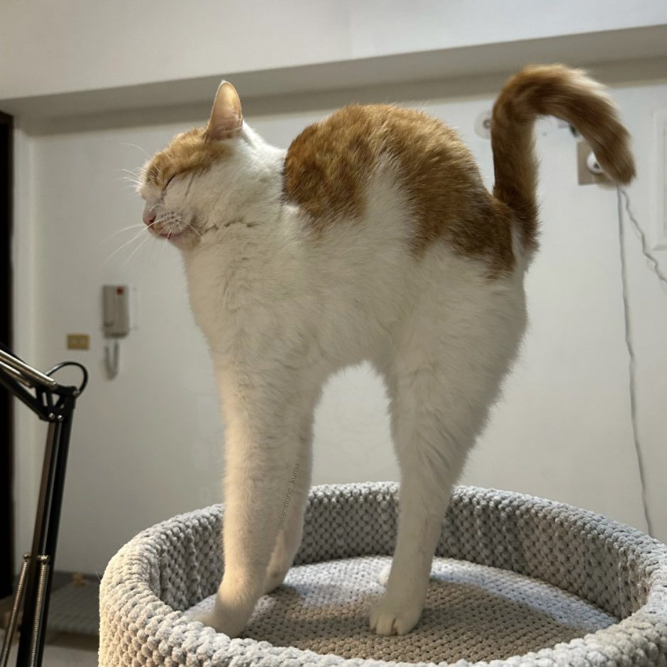 77e77852-d67b-4f77-98f0-5811bf72cb26