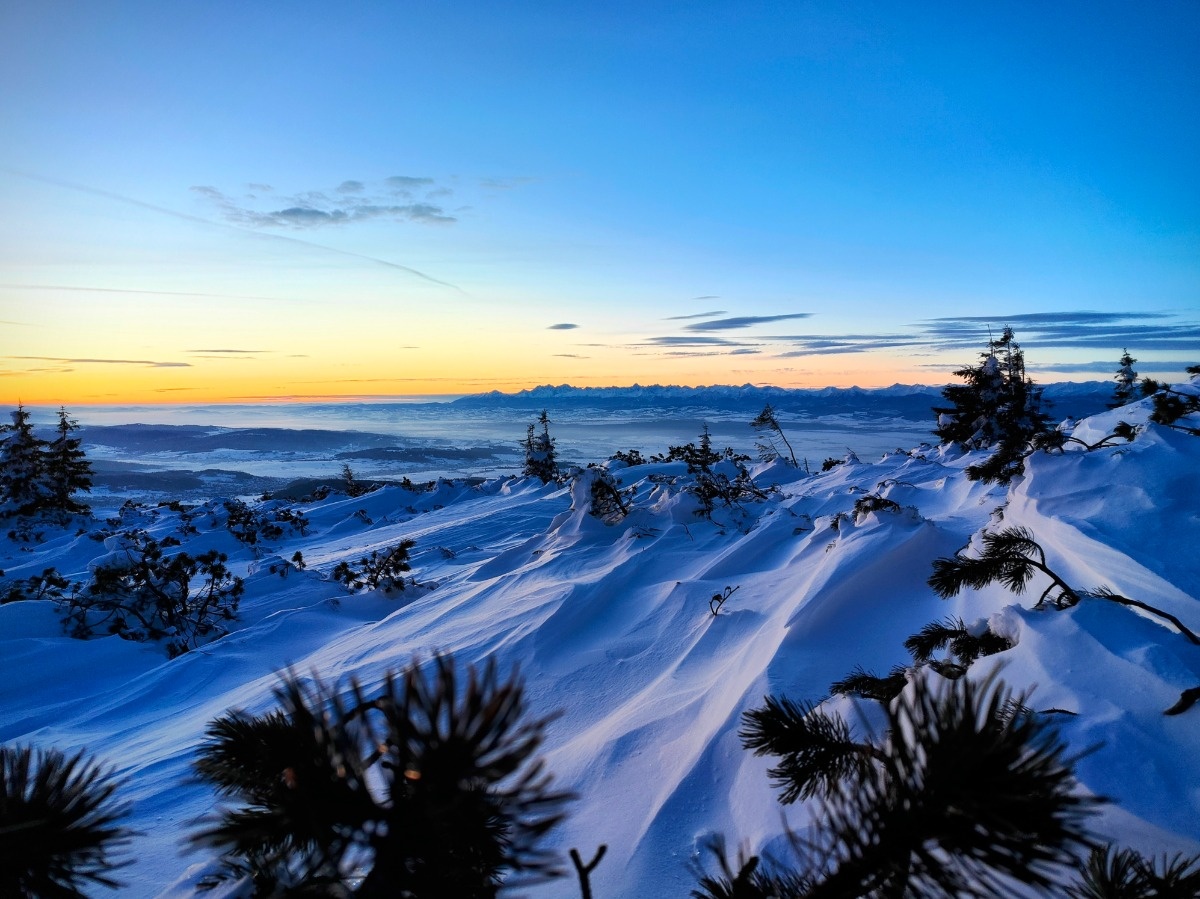 04124865-7c81-4ba8-b260-17c9e375ea62