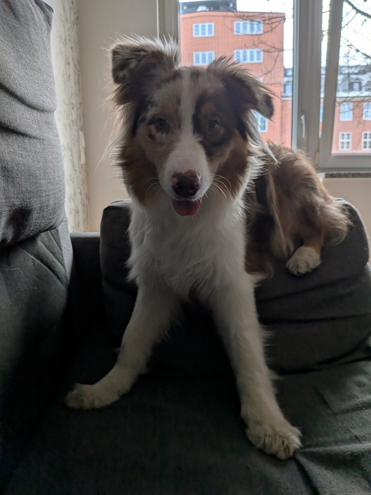 91839a59-7fe7-41d7-a566-e9354ff3b638