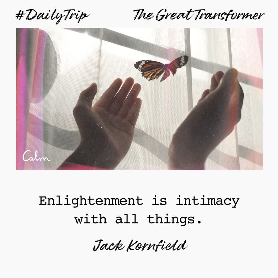 bccb51ad-ac1e-4dc5-af38-e89e83681c7b