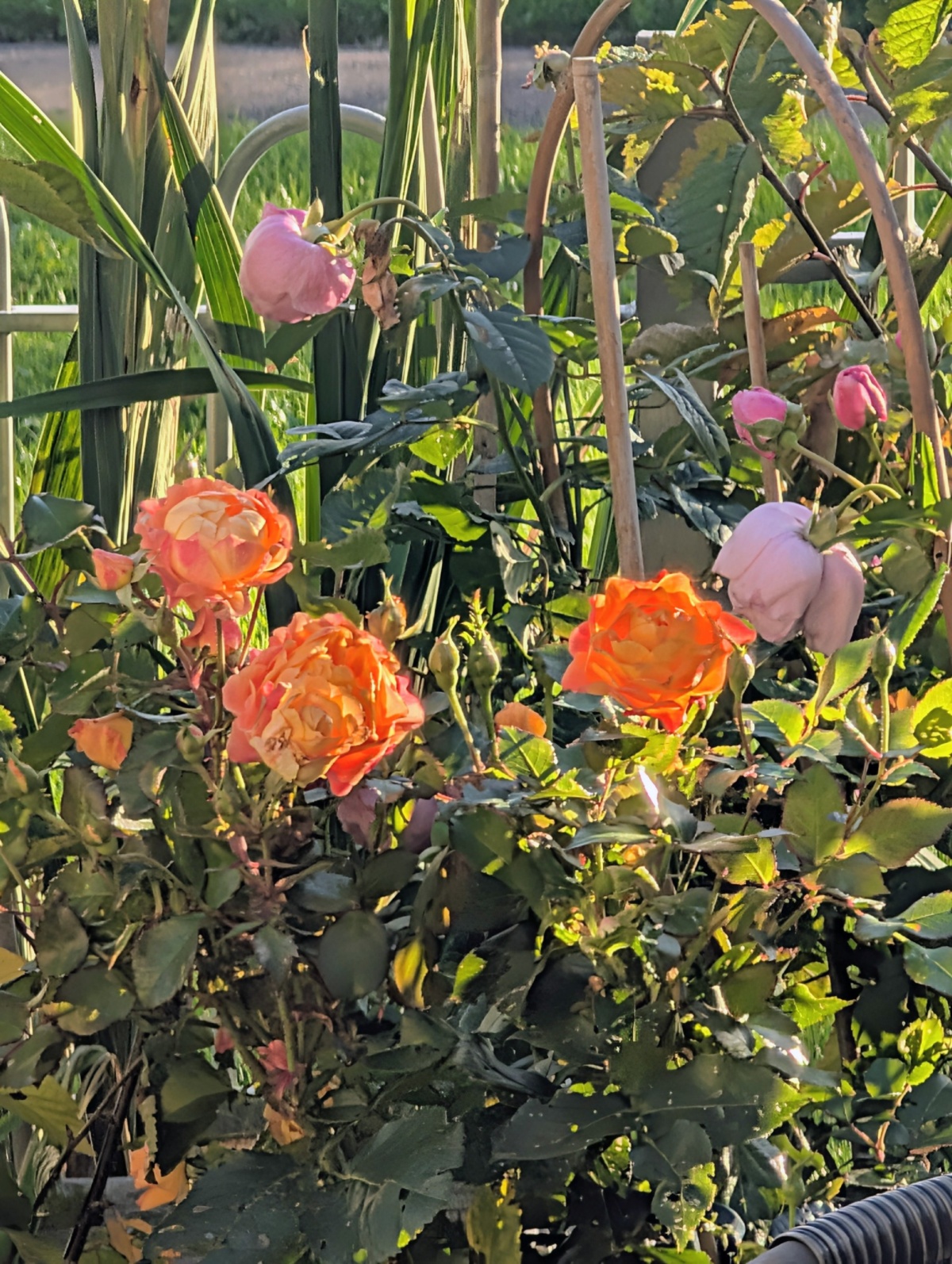 39c9dcdb-ccf5-41f2-b965-5ea95e1080f6