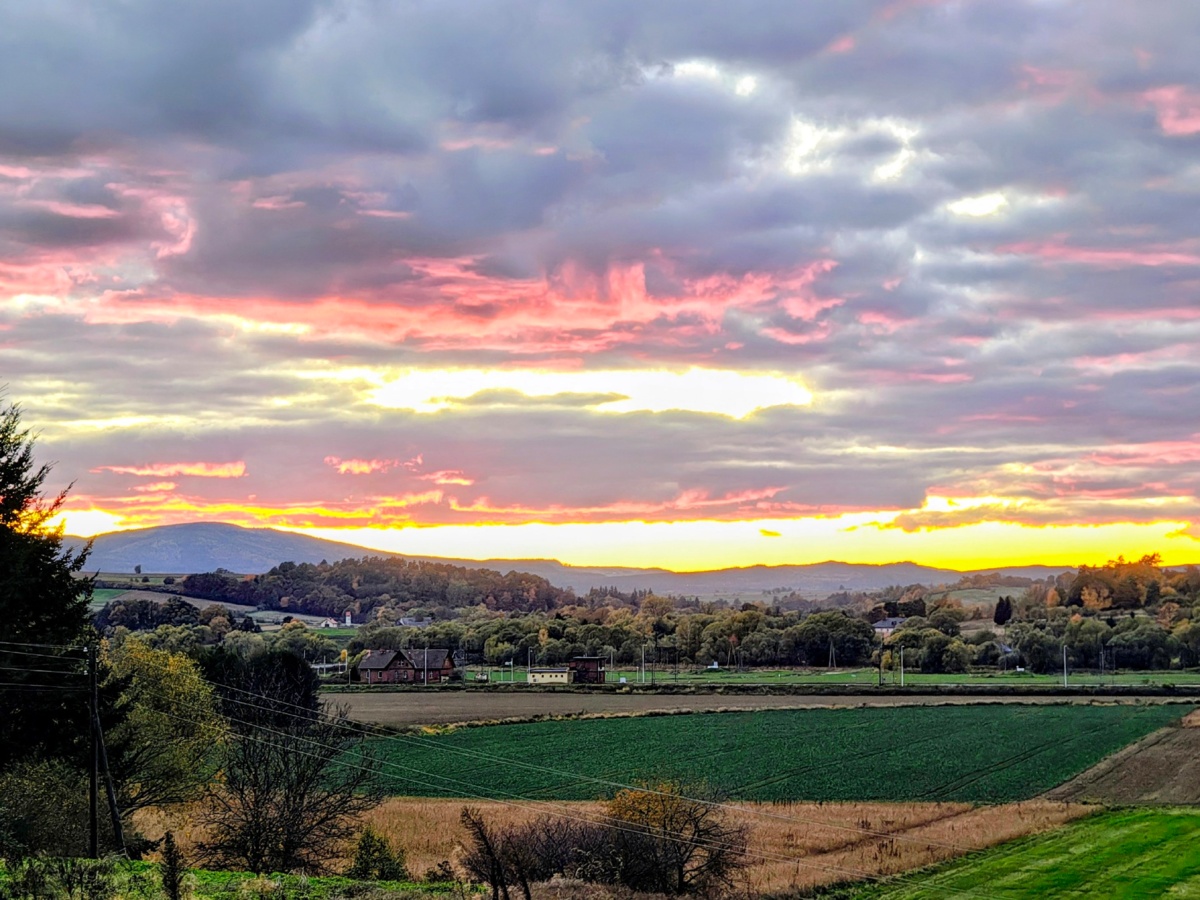 88e3397a-ac91-4596-ba17-19298f09402e