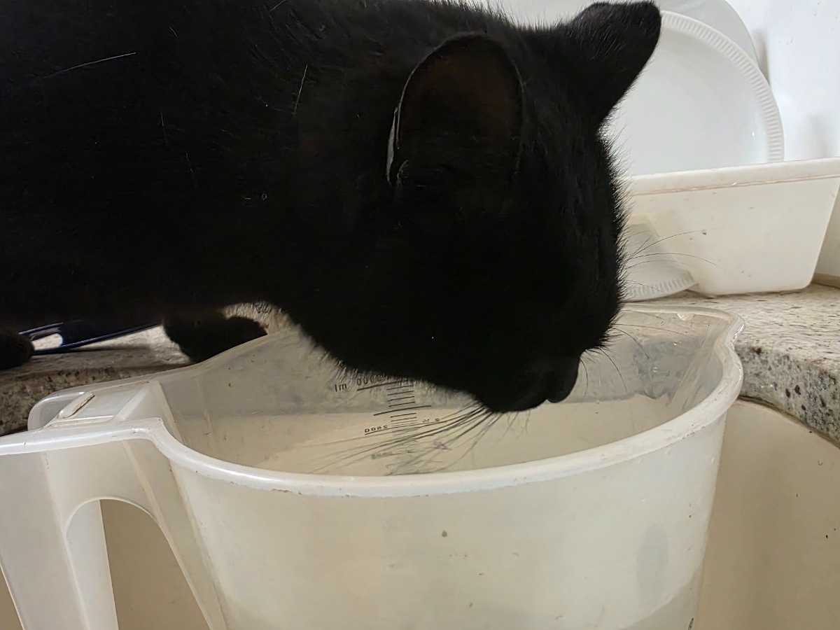 b65a9ccf-5893-4a35-9cf8-0e9849f008ee