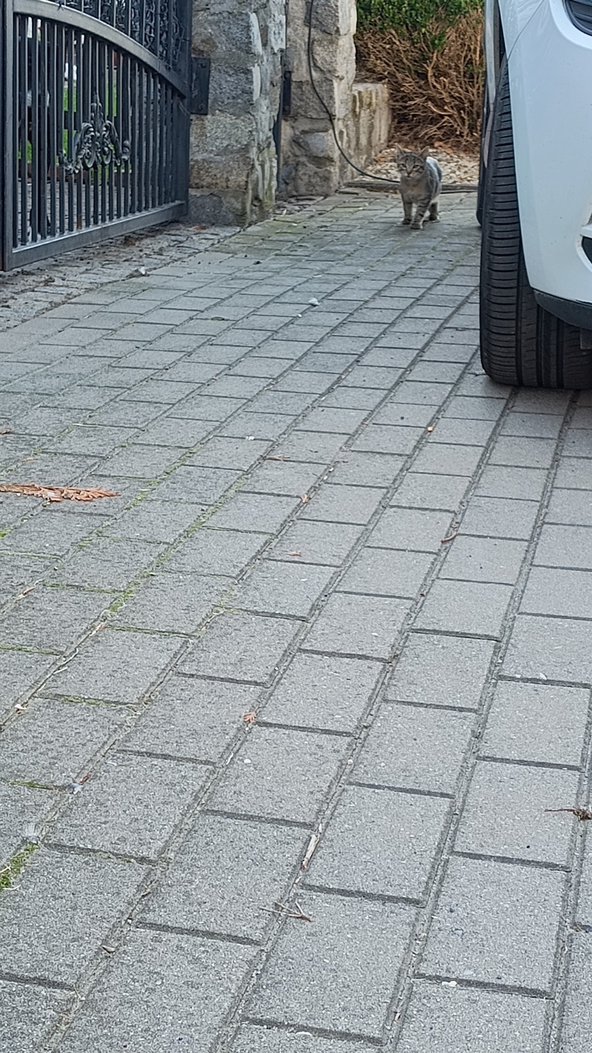 9f37703e-ac8e-42dc-8644-784b957cc5cb