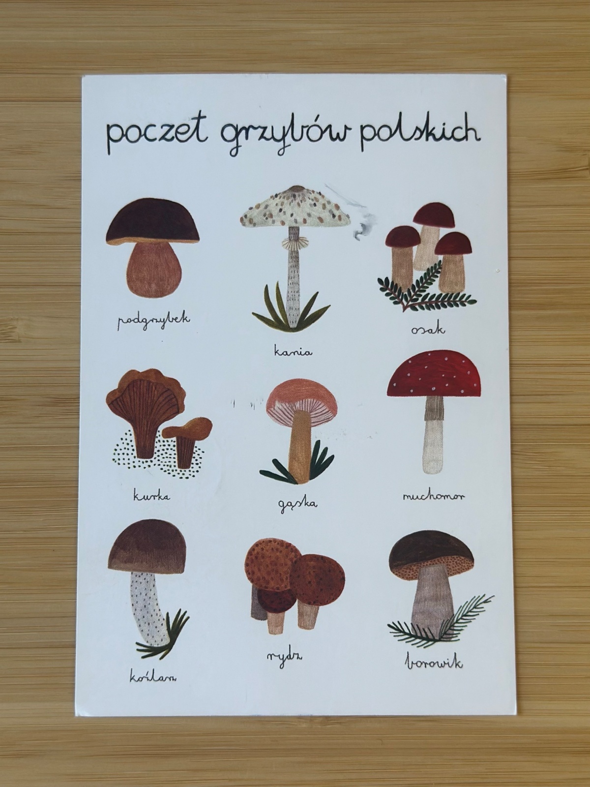 0fc17c97-6f8f-4466-a06d-1f066284ad45