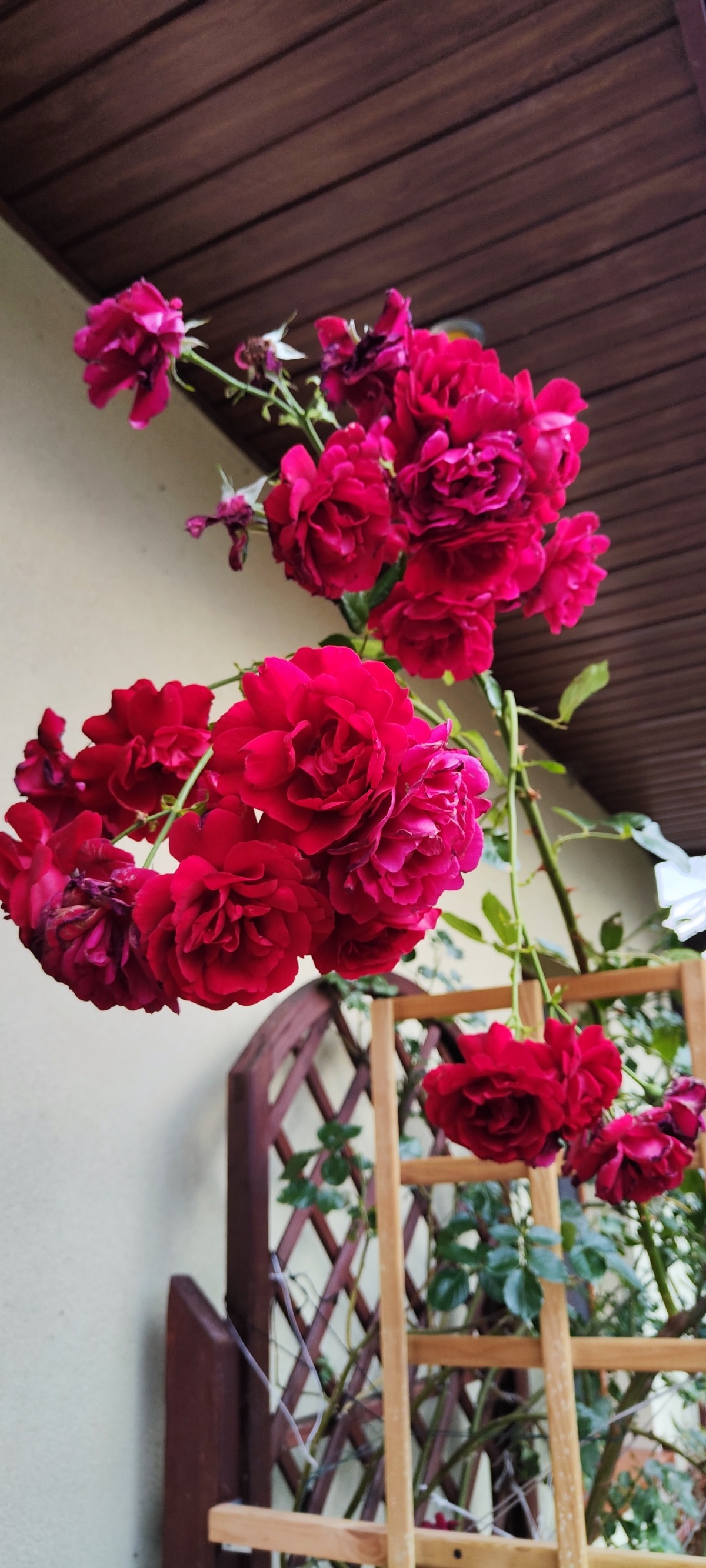 92decb98-6dca-42f1-a915-c1e66789c3a5