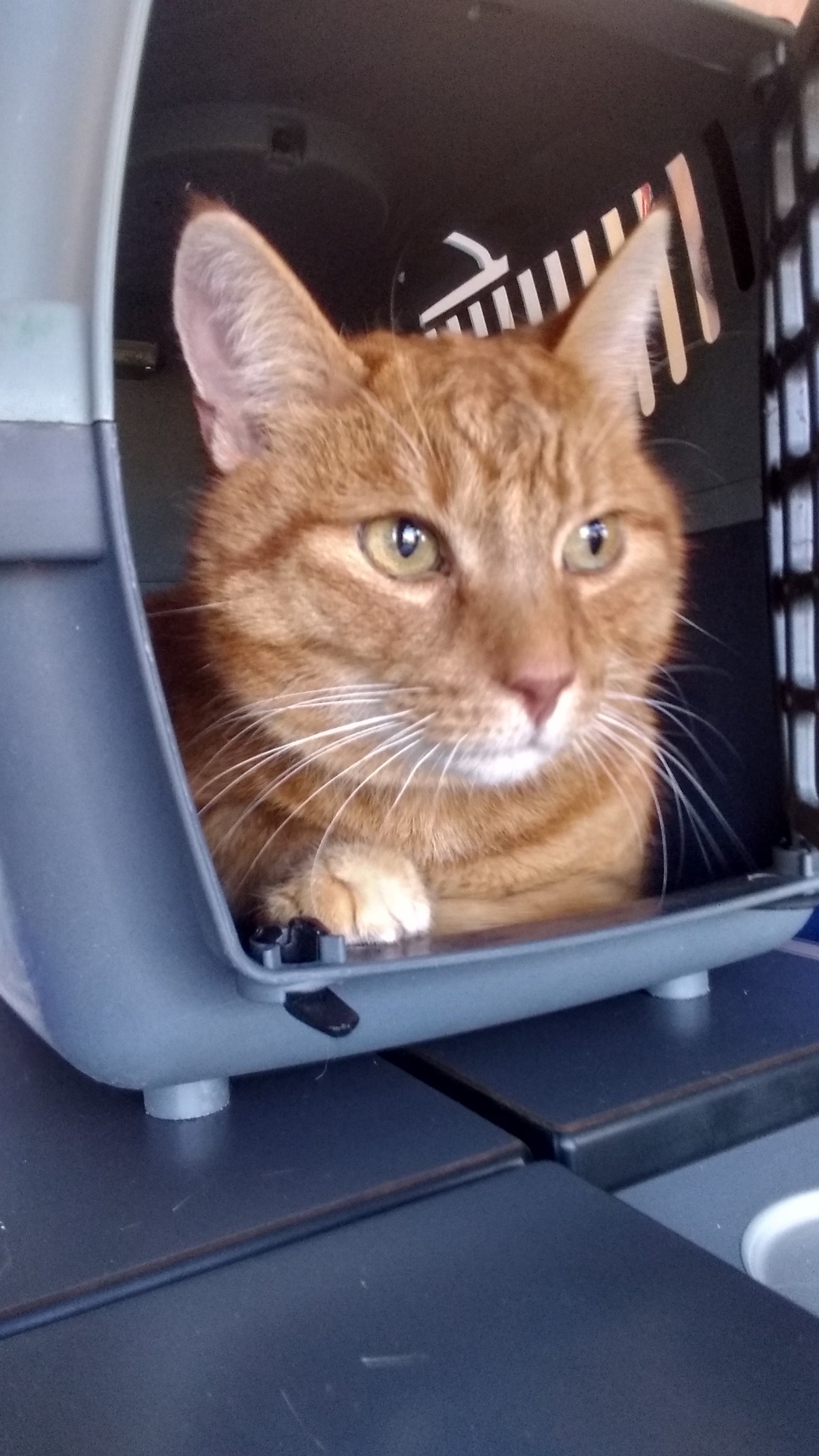 24ce034b-1936-48bf-bdff-dd389e84e133