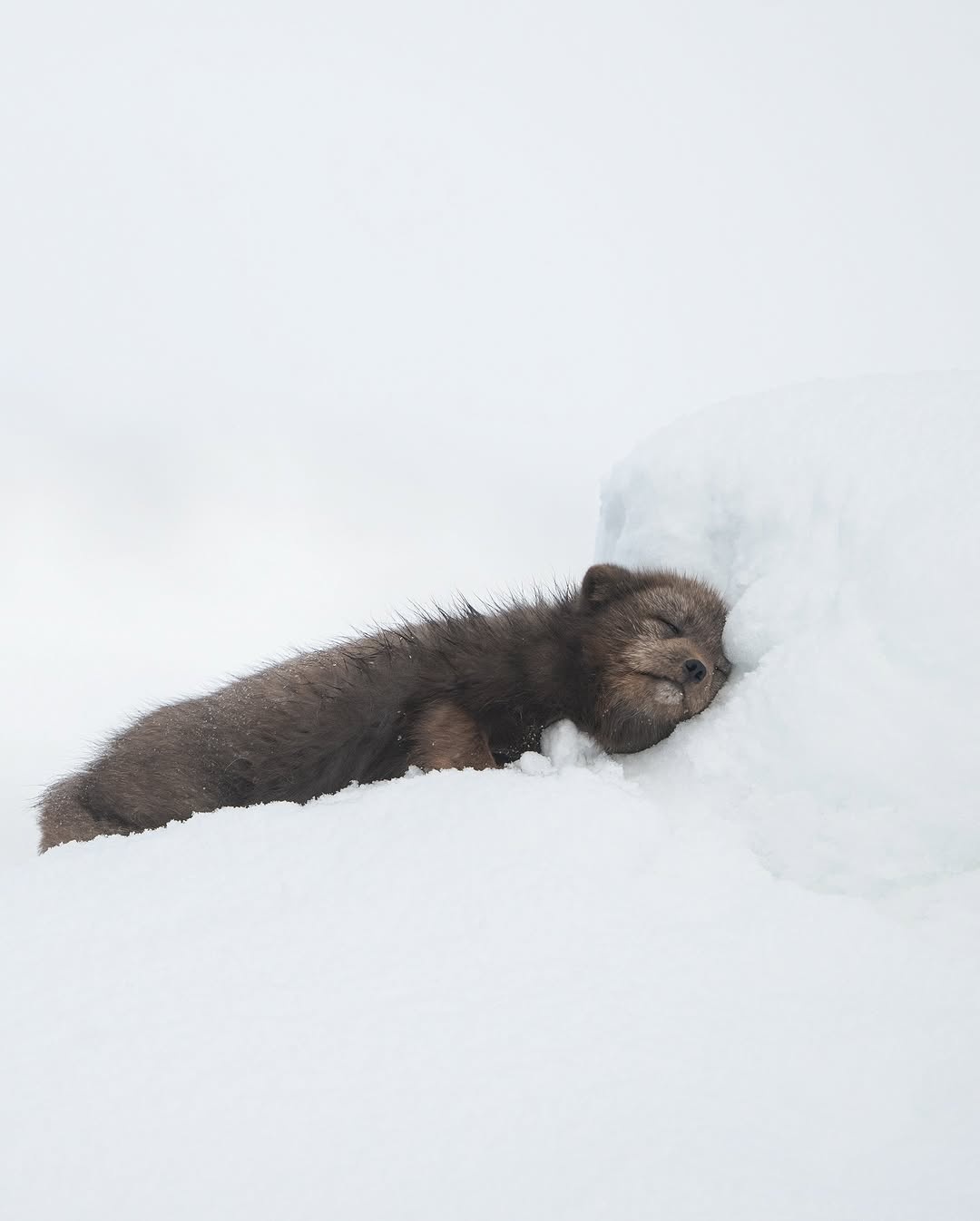 54f504a6-ec63-4a68-8a96-93ad1c8583fe