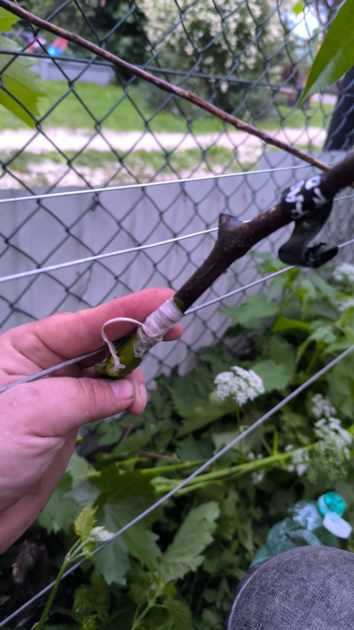 9cefaf8e-d8bc-4c5e-89ca-b05cd9d4f4db