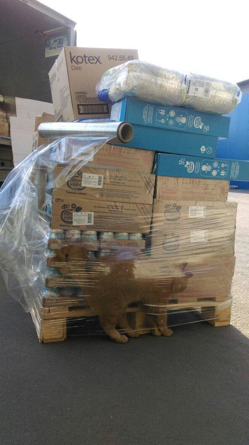 3a98ecb2-a443-4340-b0ec-73741eba7713