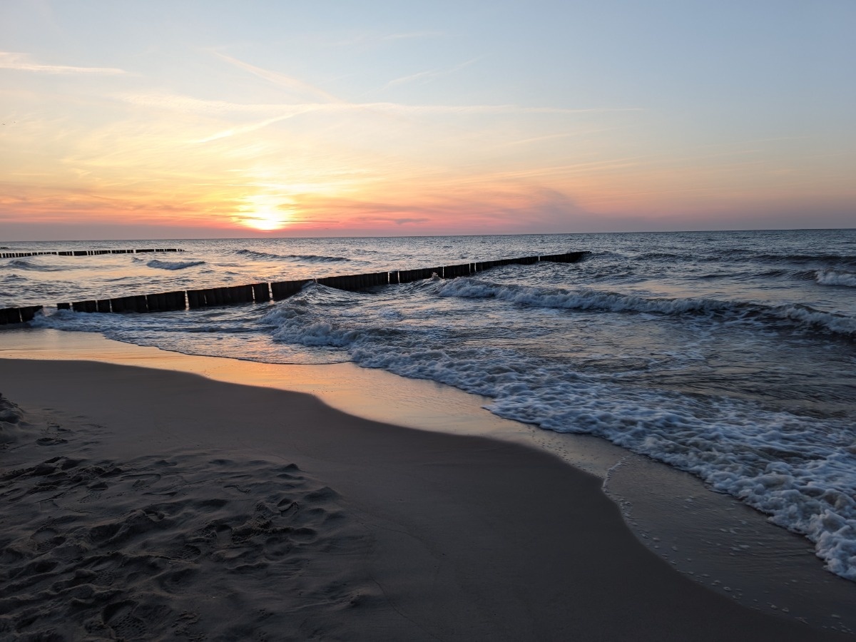 8b969685-c4c6-4bc5-a8e6-146c11af71fd