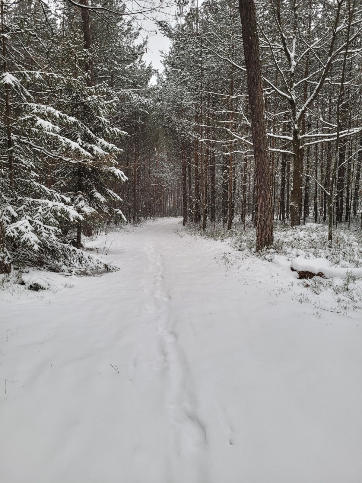 33e4d187-dab9-4f49-bef5-0a4ae481d652