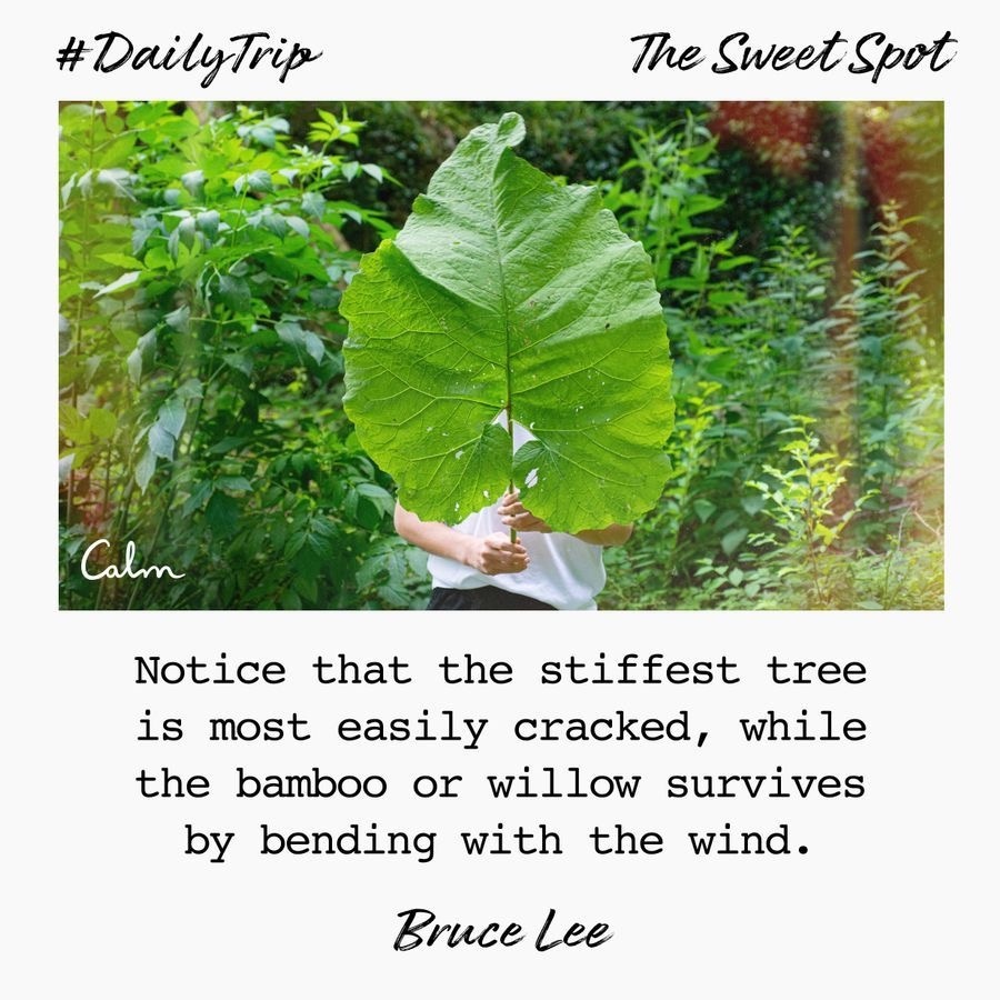 4dbaf327-a114-4c2d-97b5-2ad7bd7c68eb