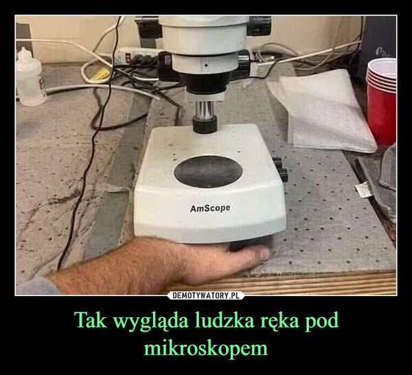 ff135d84-f624-48e2-b951-cc812f93dc99