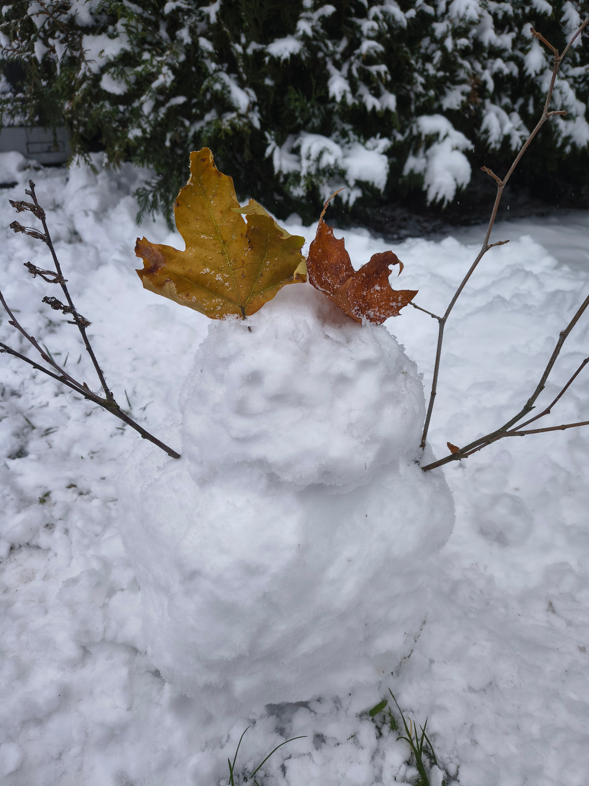 4f21b375-d4e9-498f-b027-d88edf1748e0