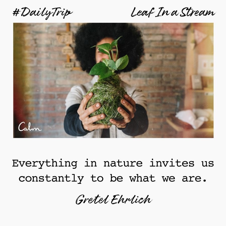 a0fa1bf8-70cc-4323-b5cd-d18915a085a0