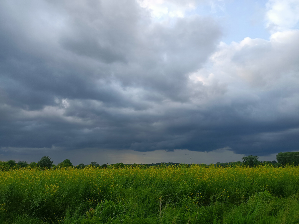 3cb6f7b3-e9a7-443c-81be-880d48ba765f