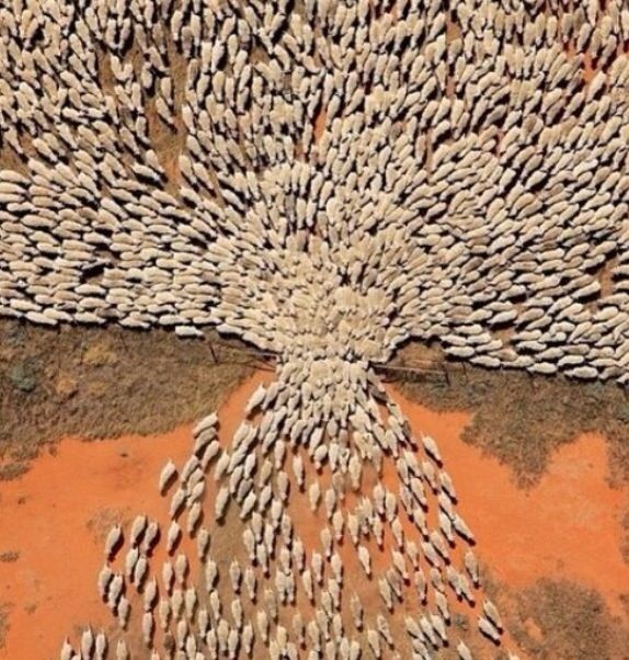 cfd754ee-1d6a-4081-90ed-5780a059a0d9