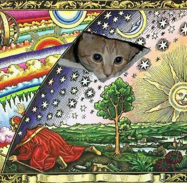 408bf225-bf49-4c56-af50-6d7adfbbe579