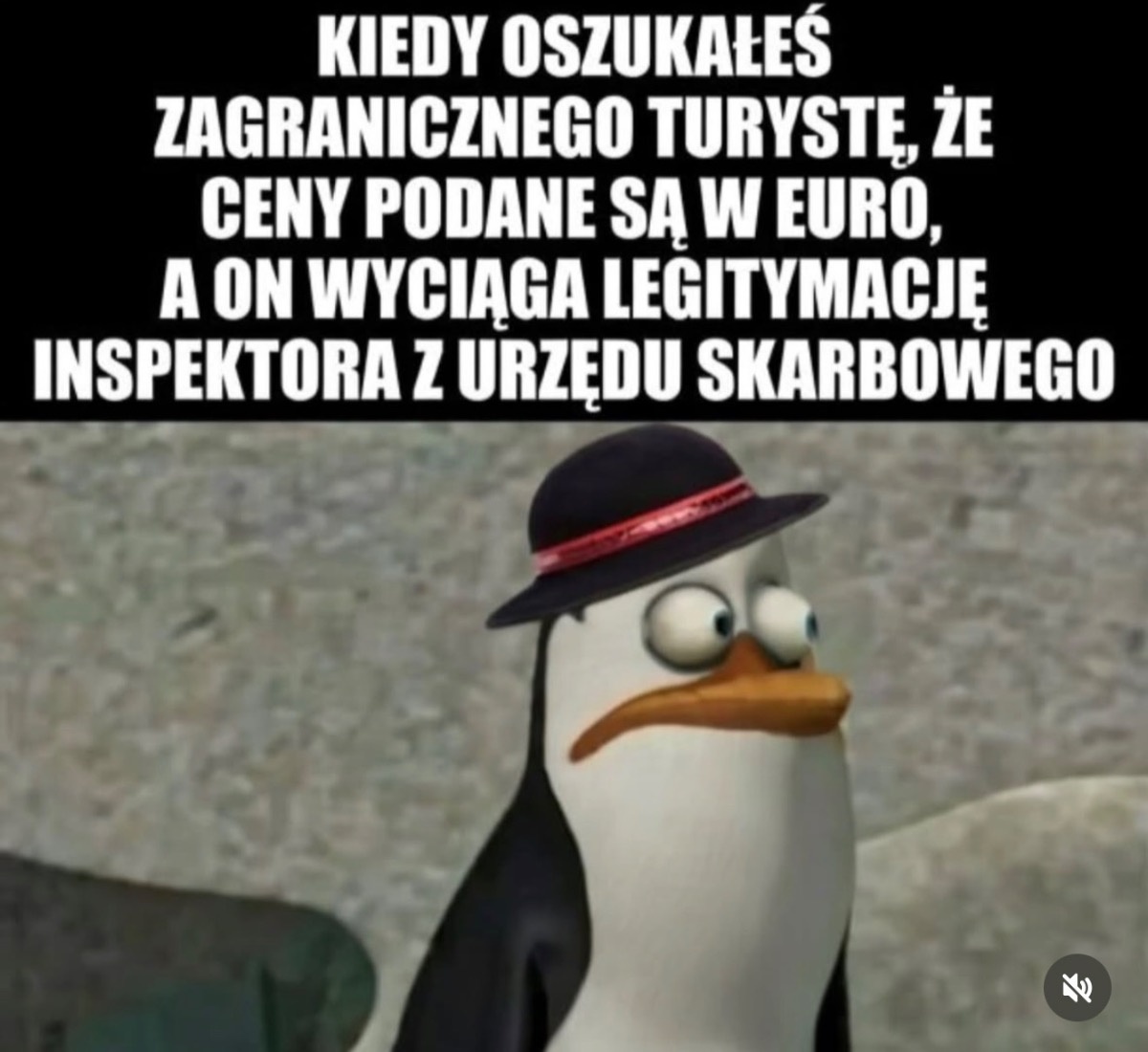 d82851ed-b81b-425a-9594-80109693e62c