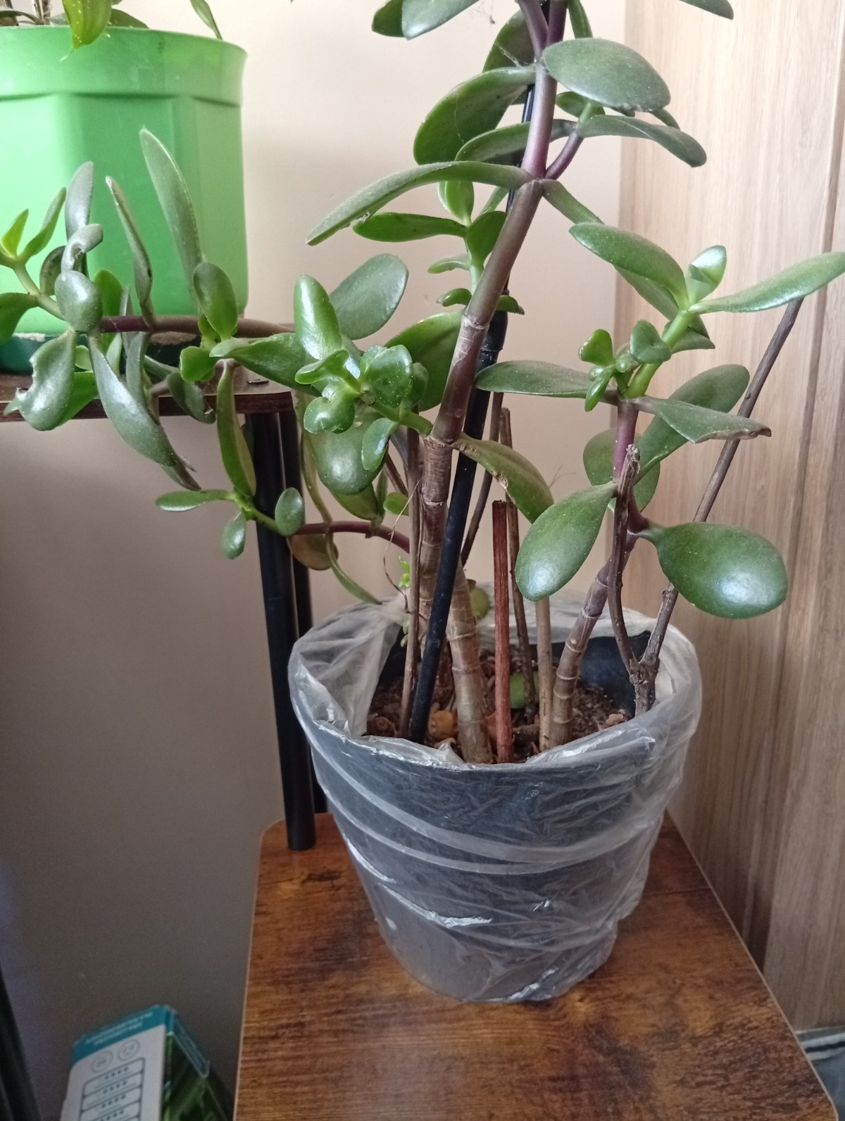 af353ee1-a336-4a8e-8f3e-621159460c2e