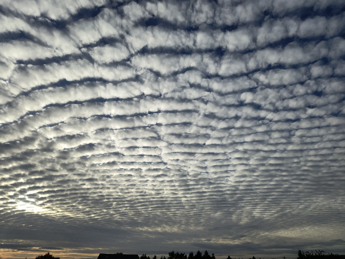 00767137-1d98-427c-b7ac-e1179cf7c43b