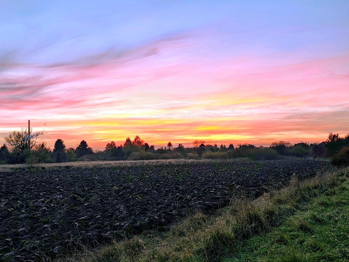 b7af9442-b49c-4588-8b4c-ad35862cabbe