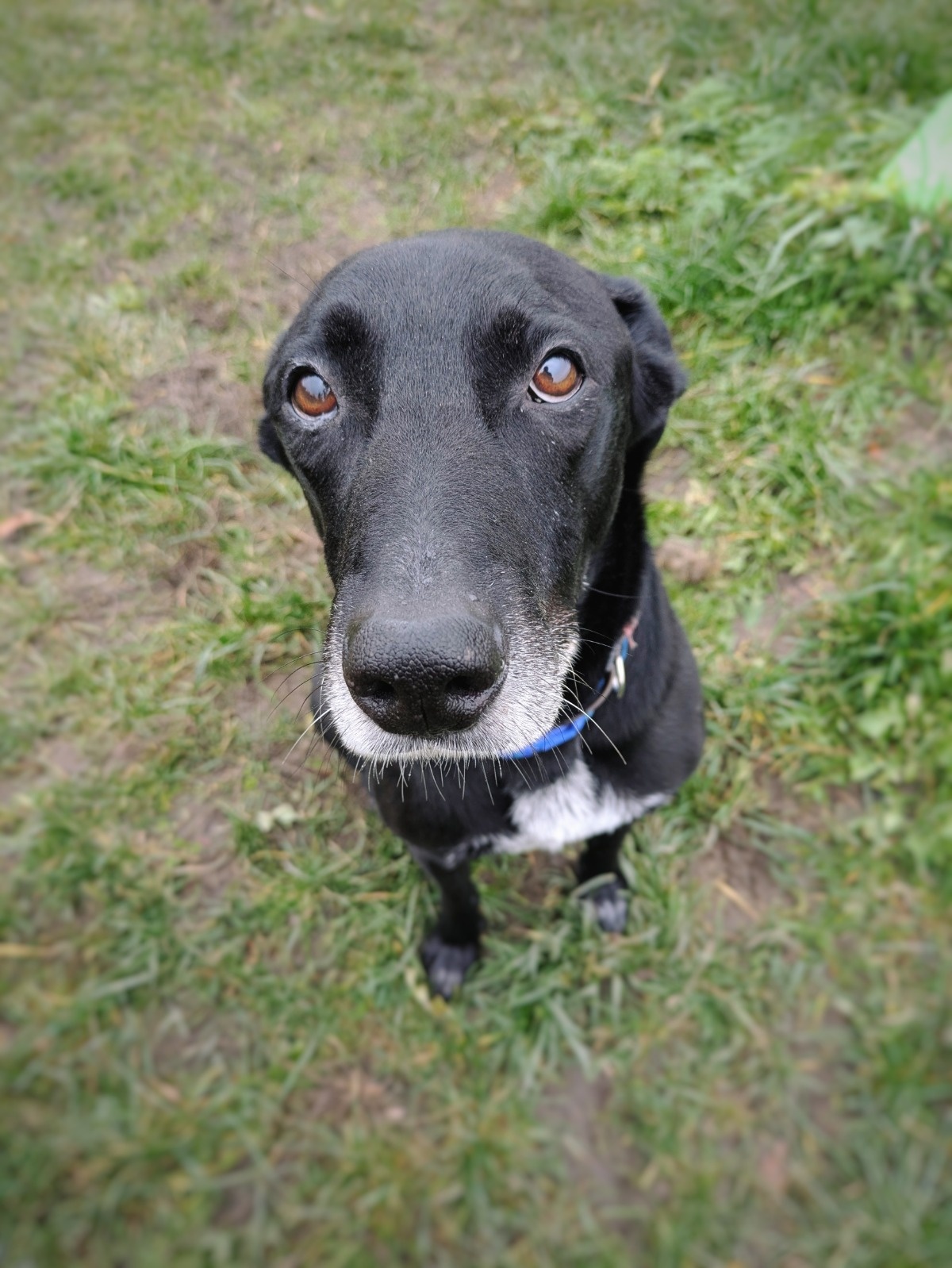 608acca4-9ce4-4e8a-b346-b606bcc742bc