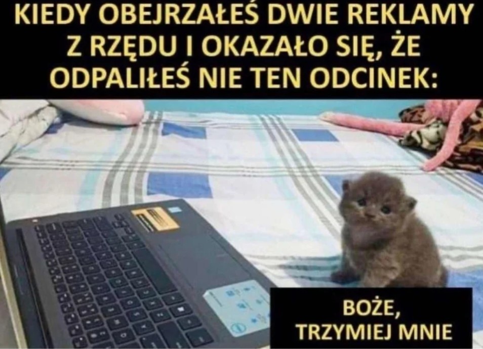 cf348a7a-a9ca-427e-b980-fd386cd3b2cf