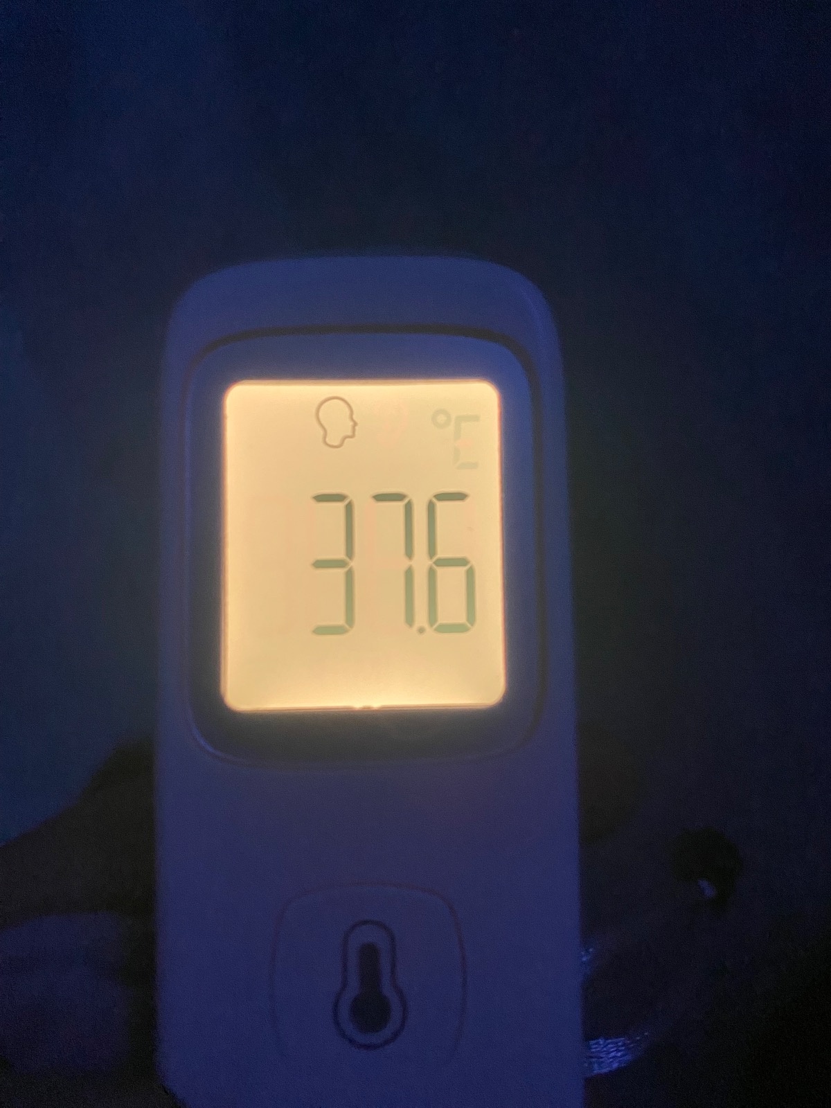 11527ec1-a2c1-4f2f-8c17-894cc76af866