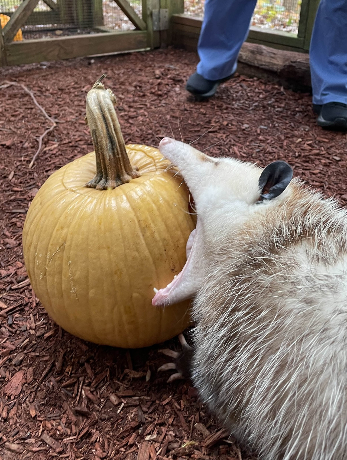 058a3cfd-d80f-4fe0-bc54-60da092284eb