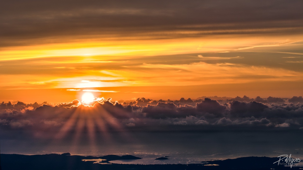 33549003-5903-4b0a-977d-99eafef7bf60