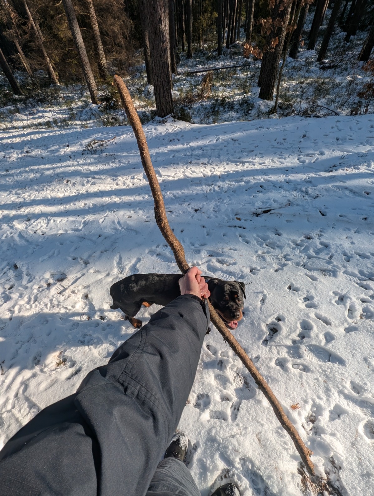 35d20fb7-def8-4d2e-b9d5-34e160cc01d1