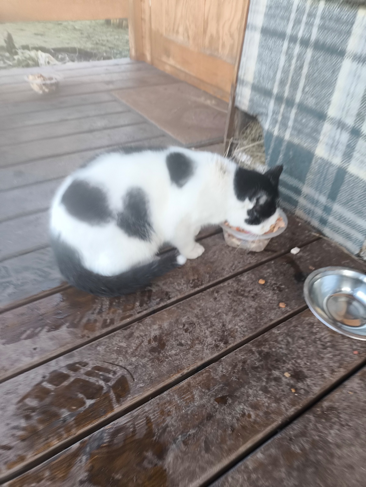 f46593b2-6455-4e37-96e3-52460d98d557