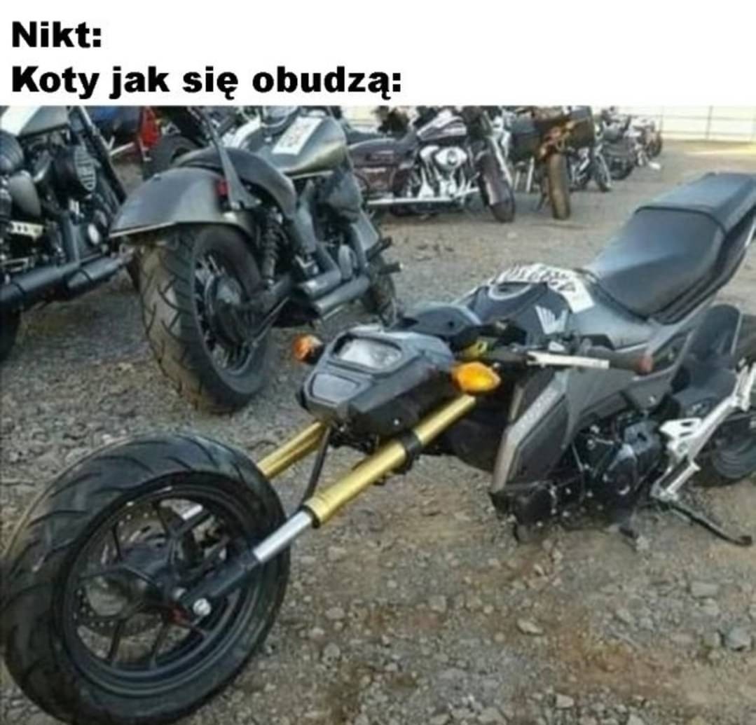 0263e04f-9fb5-4dfe-99de-348d799c5bcf