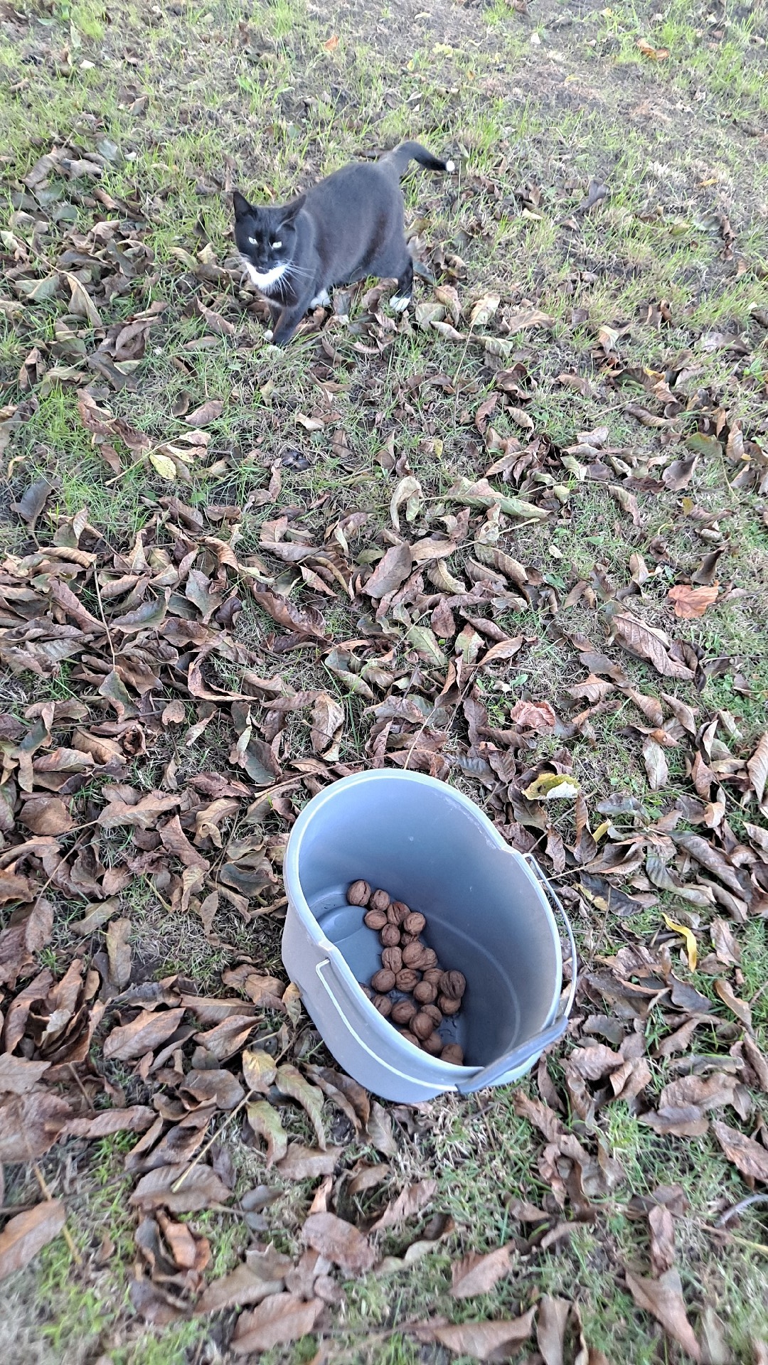 7dc39c8c-1a3e-42ee-9681-528166b74c8d