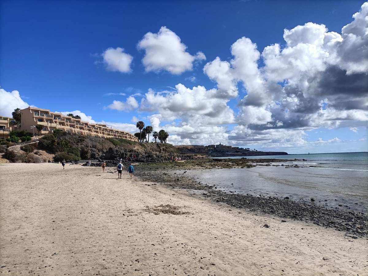 d7468583-6b0e-45ef-b2e4-24aedc7c45a1