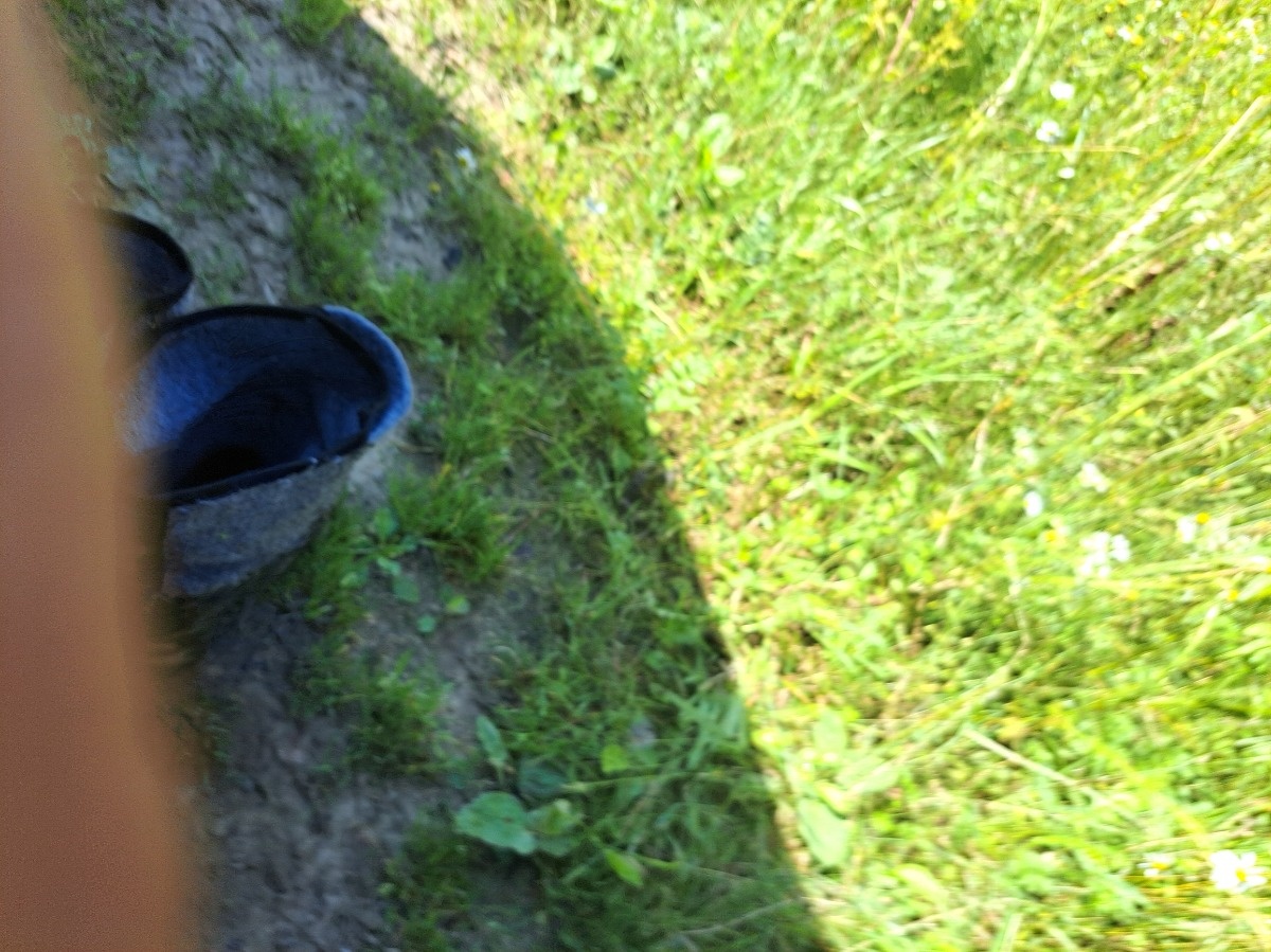 9e78990c-70e6-4f8f-b1a9-d42a4a53bcda