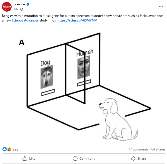 4178fe7d-8078-451b-876c-258415bf1e06