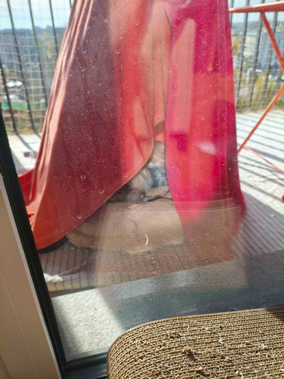 e88b0bf6-f27a-41fb-aa05-f683eab60e43