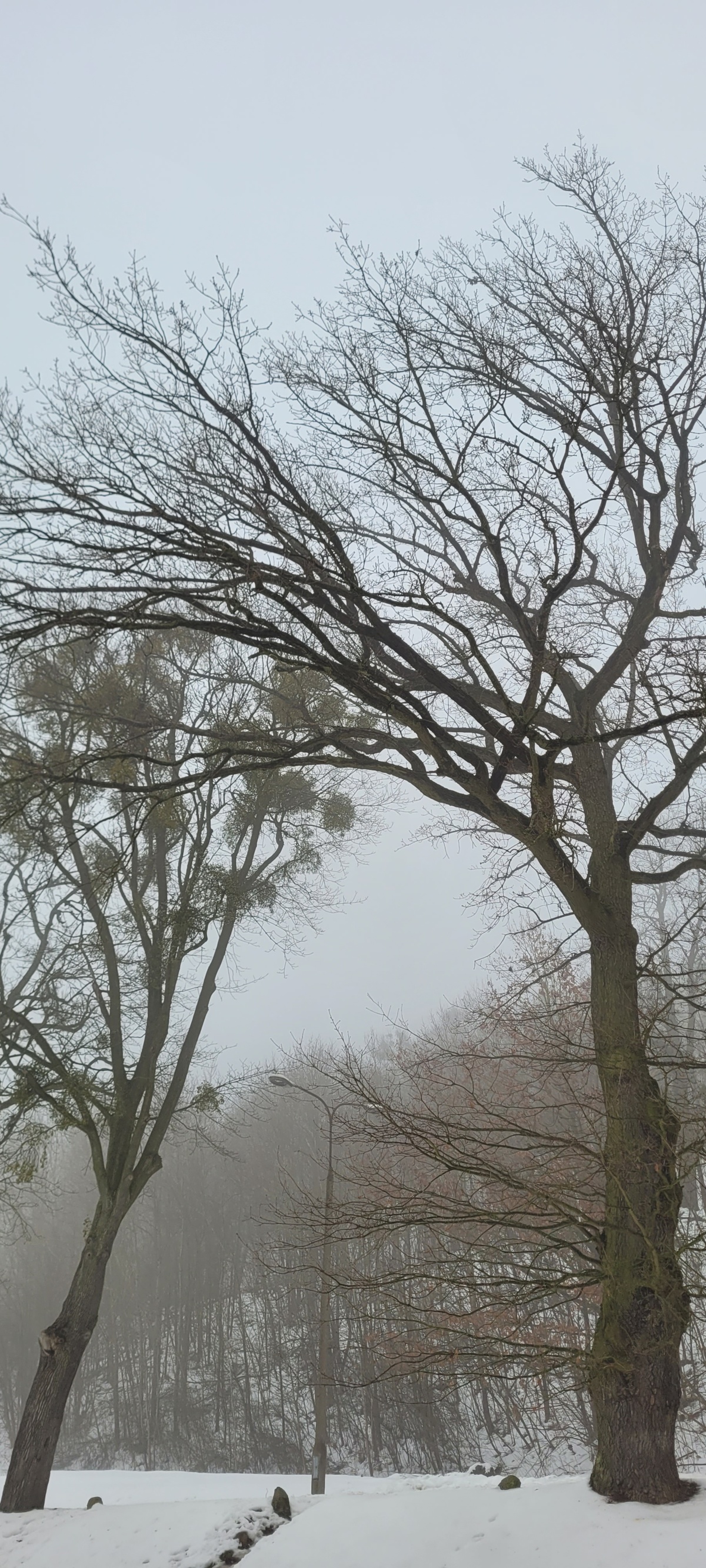 f2dd9450-b544-4fc3-9435-997660bd5dad