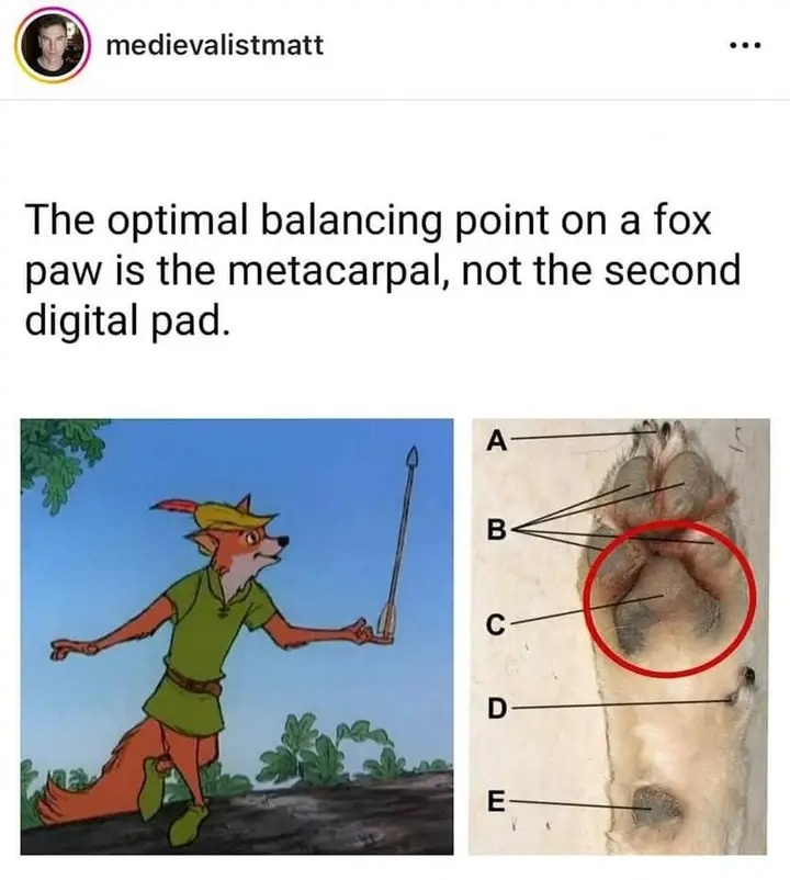 861e1dd2-42ca-4b2e-b224-b8420bb1189e