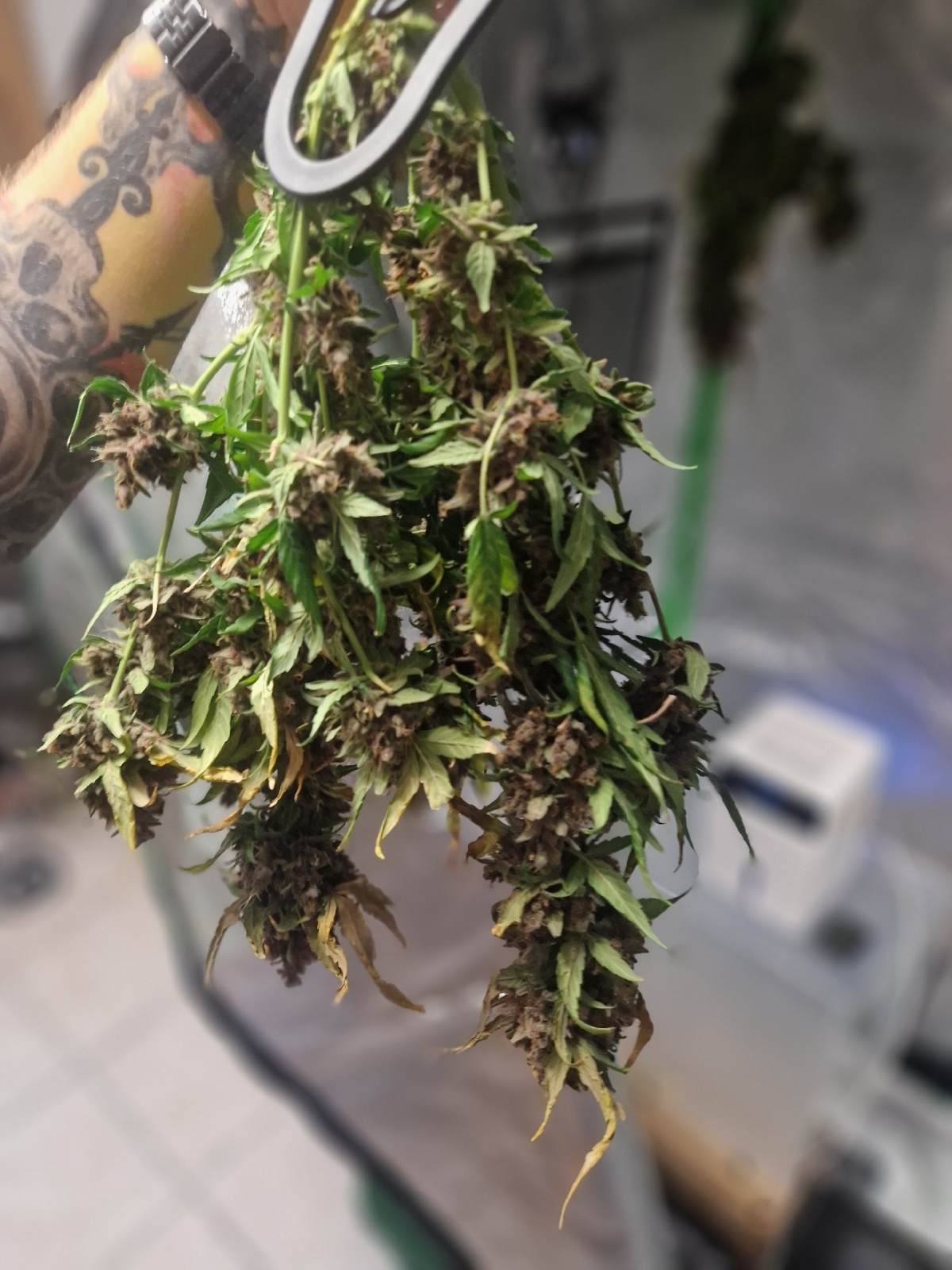 7c2377e2-7446-4399-a0ba-f608b9881aee