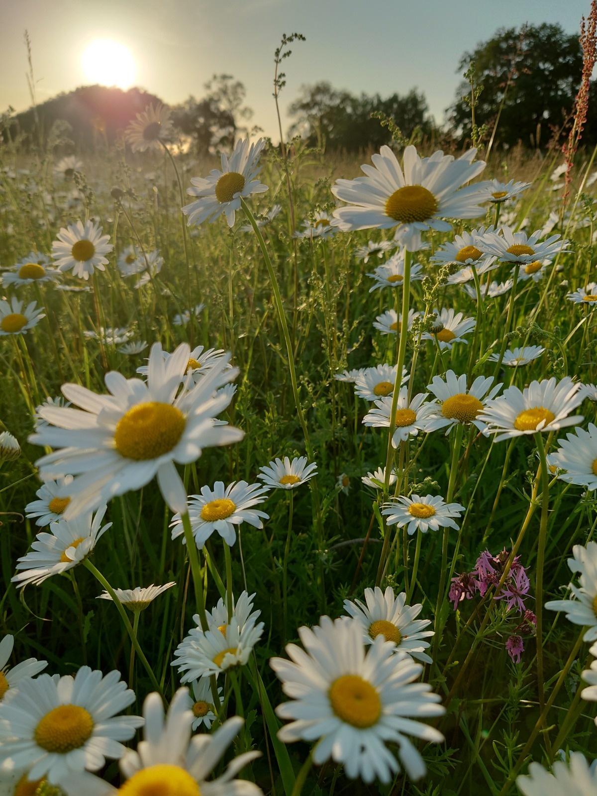 30d4a64a-aaf5-4b0d-921b-aadae8396fe4