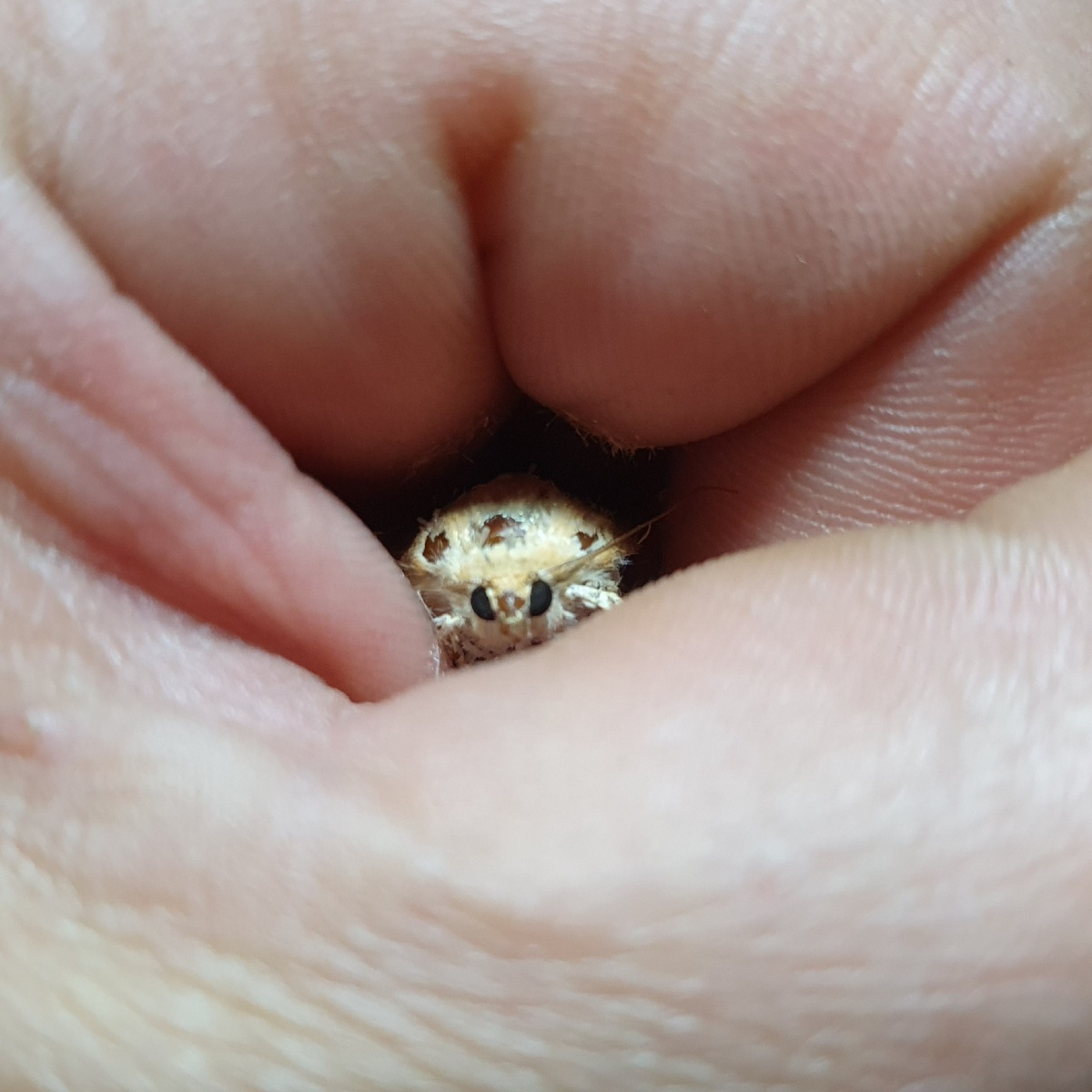 66d77d36-7202-4b0a-aa8e-574b270babd7