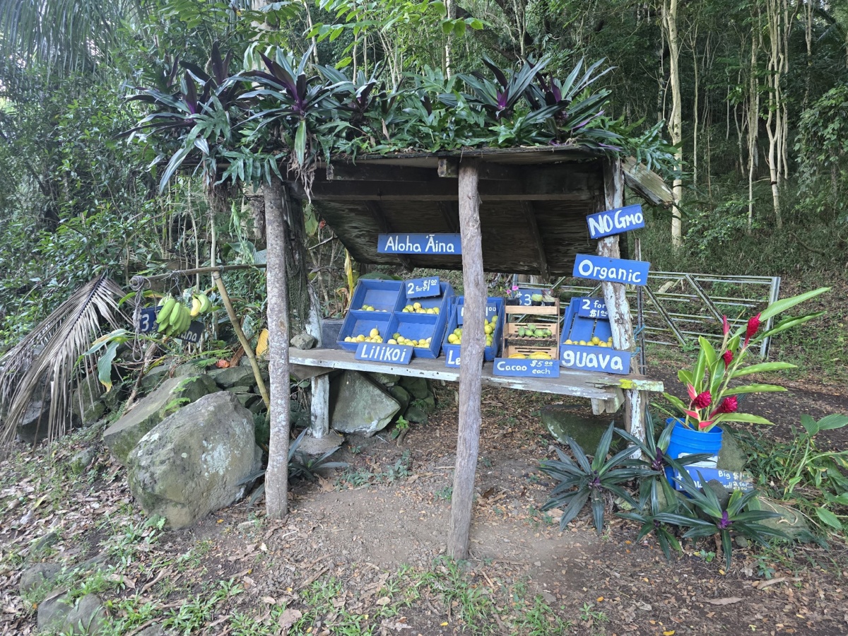 bc0625c0-ba5f-4d72-b511-6408e0a06e73