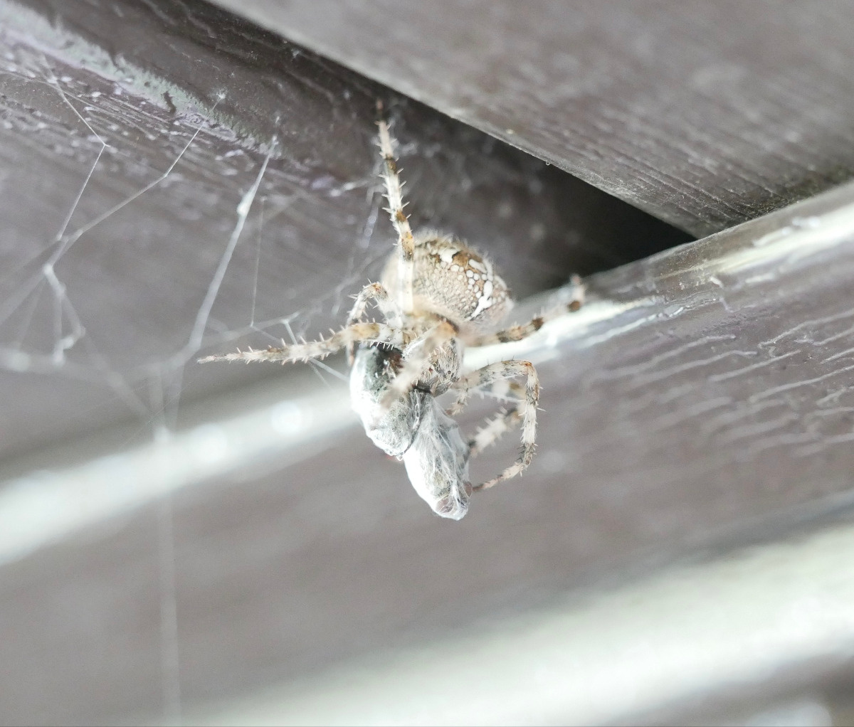 2fe7e313-aa89-4225-91fd-85fda15d3ba3