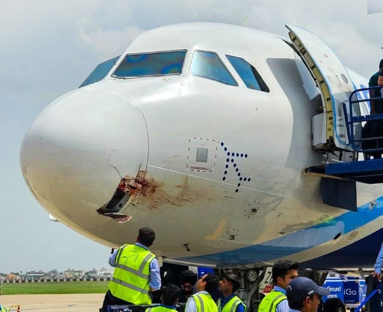 d92af2d1-ea89-4411-ac55-417057065470