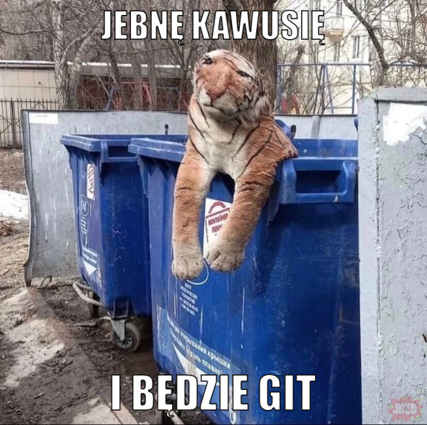 3807b978-c985-4843-adff-4e85406324b5