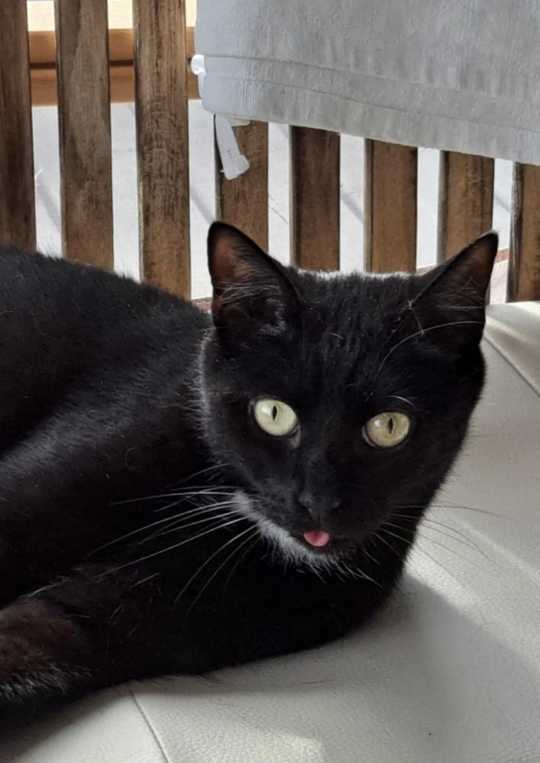 b2c67e7b-e016-49a5-8a55-1edf5b4d7596